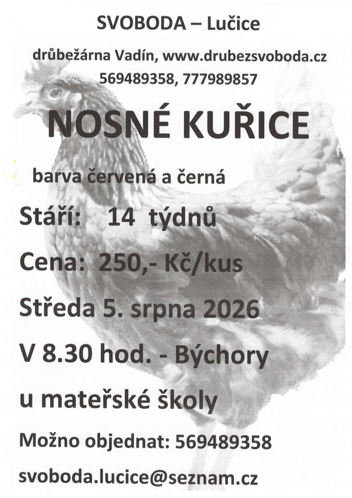 Prodej kuřic 5.8.2026