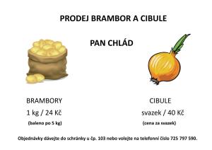 Brambory