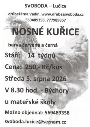 Prodej kuřic 5.8.2026